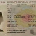 骗子曝光:这个畜生把我弟弟叫到菲律宾做诈骗-白菜导航网-白菜社区-白菜作业群